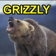 GrizzlyNews